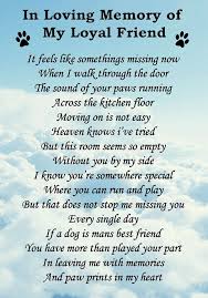 A good pet loss quote can be a moving tribute for a beloved animal. Pin By Jeff Hall On Pets Gone To Soon Cat Loss Dog Poems Losing A Pet Quotes
