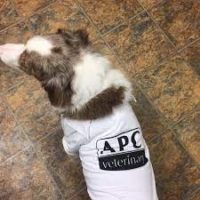 Check spelling or type a new query. Photos At Affordable Pet Care Veterinary Clinic Tulsa Tulsa Ok