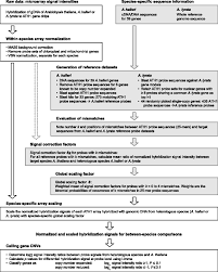 Between Species Differences In Gene Copy Number Are Enriched Among Functions Critical For Adaptive Evolution In Arabidopsis Halleri Springerlink
