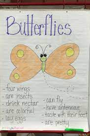 Butterfly Anchor Chart Butterfly Lesson Plans Butterfly Life Cycle Preschool Butterfly Lessons