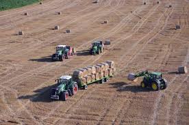 We did not find results for: Fermierii Din Romania IncaseazÄƒ SubvenÅ£ii De 4 Ori Mai Mici Decat Cei Din Malta Ziarul Unirea