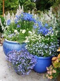 One Color Gardening Has Become A Trend And No Less In Container Gardens As In Gardens Planted In The Grou Container Gardening Flowers Plants Garden Containers