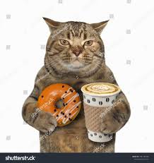The Cat Holds A Cup Of Coffee And Orange Glazed Donut White Background Cup Coffee Cat Holds Cat Coffee Cats Cup