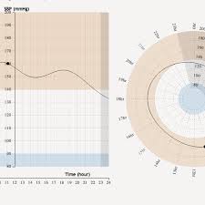 Donut Chart Jsfiddle