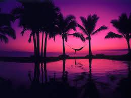 Final dimensions (width x height): Sunset Beach Wallpaper Hawaii Novocom Top