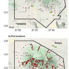 Image result for Hyparrhenia mobukensis
