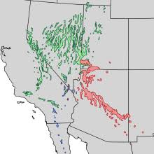 Perfect size logs for chimneys or for use in outdoor fireplaces. Pinyon Pine Wikipedia