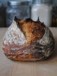 Sprouted Wheat Country Bread Abreaducation Country Bread Bread The Fresh Loaf