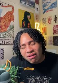 Josiah Lebante Ceiling