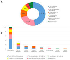 Image result for Viscum congolense