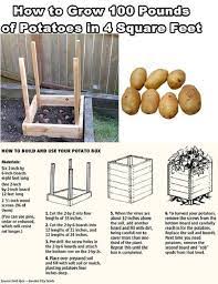 How To Grow 100 Pounds Of Potatoes In 4 Sq Feet Homesteading Diy Projects Potato Gardening Homesteading Diy