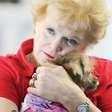 Rescued Whitby dog gets new leash