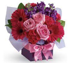 Craigmore flowers r us provides you the best flower arrangements in craigmore delivered by local florists. Flower Shop Smithfield Craigmore Same Day Delivery Flowers R Us