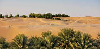 From wikimedia commons, the free media repository. Liwa Oasis Uae Luxury Travel Remote Lands