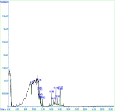 Image result for Rhaphiostylis
