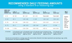 Dog Feeding Guidelines Goldenacresdogs Com
