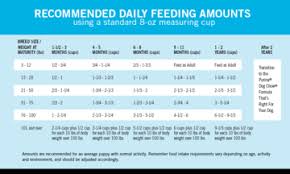 puppy food amount chart goldenacresdogs com