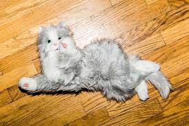 How Adopting A Robot Cat Designed For Old People Ruined My Life Thrillist
