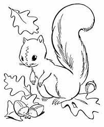 Click the squirrel and acorns coloring pages to view printable version or color it online (compatible with ipad and android tablets). Coloring Pages Plus Sooooo Many Other Worksheets And Printables Here Squirrel Coloring Page Fall Coloring Pictures Fall Coloring Sheets