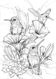 Keep your kids busy doing something fun and creative by printing out free coloring pages. Hummingbird Coloring Pages Coloring Rocks Bird Drawings Bird Coloring Pages Sketches