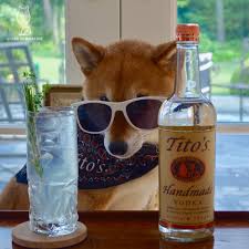 Zobacz wybrane przez nas produkty dla hasła „titos vodka: Memes And Sheebs Tito S Vodka Ain T No Party Like A Tito S Party