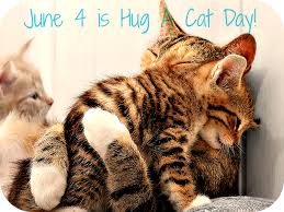 Nov 10, 2020 · august 8: Heath Vets On Twitter Did You Know It S Nationalhugyourcatday Share Your Pictures Of You And Your Cat With Us