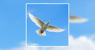 Daniel Edward Wathen Obituary January 25, 2024