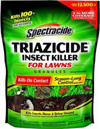 If this lasts more than a day or so, or if it happens again and again, it's time for a visit to the vet. Spectracide Triazicide Insect Killer For Lawns Granules 10 Amazon Ae