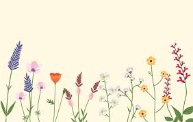 We did not find results for: Variety Of Wild Flowers Vector Illustration Free Image By Rawpixel Com Wildflower Drawing Flower Doodles Vector Flowers