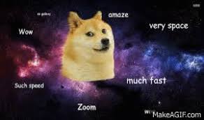 Many people first became familiar with the shiba inu from that 'doge' meme that was everywhere for a while (very shiba, much soft. Doge On Make A Gif