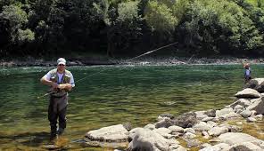 Ovi bistri tokovi idealno su stanište za mnoge vrste rečne ribe, među kojima se ističe mladica, endemit najplemenitije vrste ali i. Drina Lovostaj Odmor Pored Reke Drine Bajina Basta Perucac