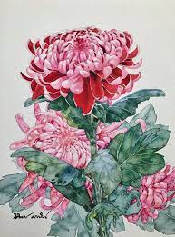 Pin On Floral Chrysanthemums