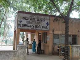 See the closest medical clinic to your current location (distance 5 km). Govt Pet Clinic Near Me Off 67 Www Usushimd Com