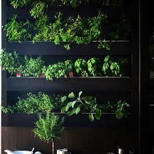 There are even tabletop herb garden planters! 50 Astonishing Indoor Garden Ideas With Pictures Yhmag