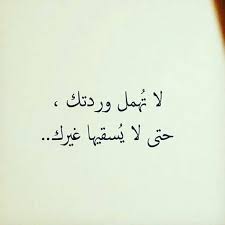 خلفيات رمزيات حب بنات فيسبوك حكم أقوال اقتباسات لا تهمل وردتك Words Quotes Pretty Quotes Spirit Quotes