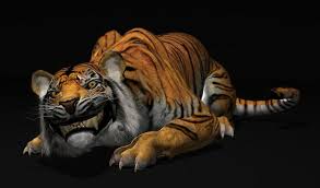 Free Tiger Animation Rig Animation Animation Classes Animation Tutorial
