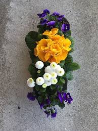 Schließlich möchten sie möglichst lange. Fruhlingsblumen Fruhling Blumen Fruhlingsblumen Balkon Pflanzen