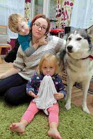 Sightings of steatoda nobilis, the false widow spider, are on the rise. Dog Bitten By False Widow Spiders After Infestation Discovered In Children S Playroom Dorset Echo