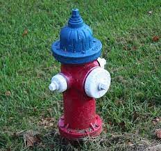 You will find white, red, yellow and violet colored fire hydrants pretty much everywhere. Fire Hydrant Colors Actually Mean Something