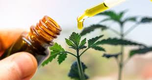 If you are uncomfortable with the taste of cbd and struggle to take it this way, cbd gummies or capsules are the next best option. Uk S Best Full Spectrum Cbd Oil In 2021 Surrey Live
