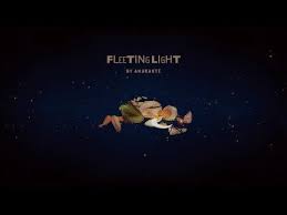 Amarante Fleeting Light With Lyric Youtube Lyrics Music Videos Light