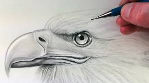 How To Draw Animals 50 Free Tutorial Videos To Help You Learn Step By Step Get new skills and develop. how to draw animals 50 free tutorial