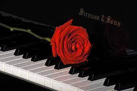 Red Rose And Piano Red Rose Pictures Red Roses Rose