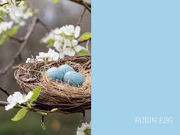 Image result for Robin Egg Blue 1972 Hussmann