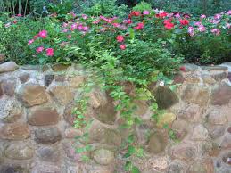 L'ombre ne doit pas être un coin négligé du jardin où rien ne pousse. Construire Un Muret Fleuri