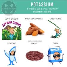 12 potassium rich foods to enjoy in ketosis which potassium rich food is your fave? 6 Foods Higher In Potassium Than Bananas And Its Benefits