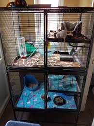 Pin On Elliesexotics