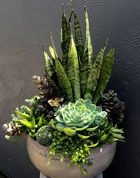 26 Finest Delicious Garden Concepts Around The World Succulentgardendiy Succulentgardenrocks Succulentgardenwithrocks Succ Sukkulenten Gartendekor Pflanzen