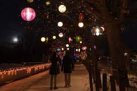 Zoo Lights Denver Zoo