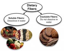 How Important Is Dietary Fiber Pros Cons Main Sources And